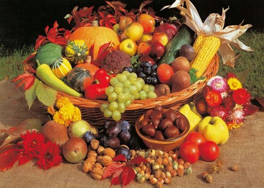 frukti1 - Нетрадиционное лечение рака. Истории исцеления