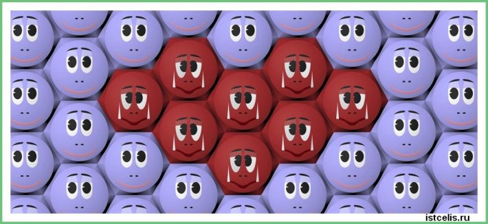 NF Oct14 Eggs Choline and Cancer - Нетрадиционное лечение рака. Истории исцеления