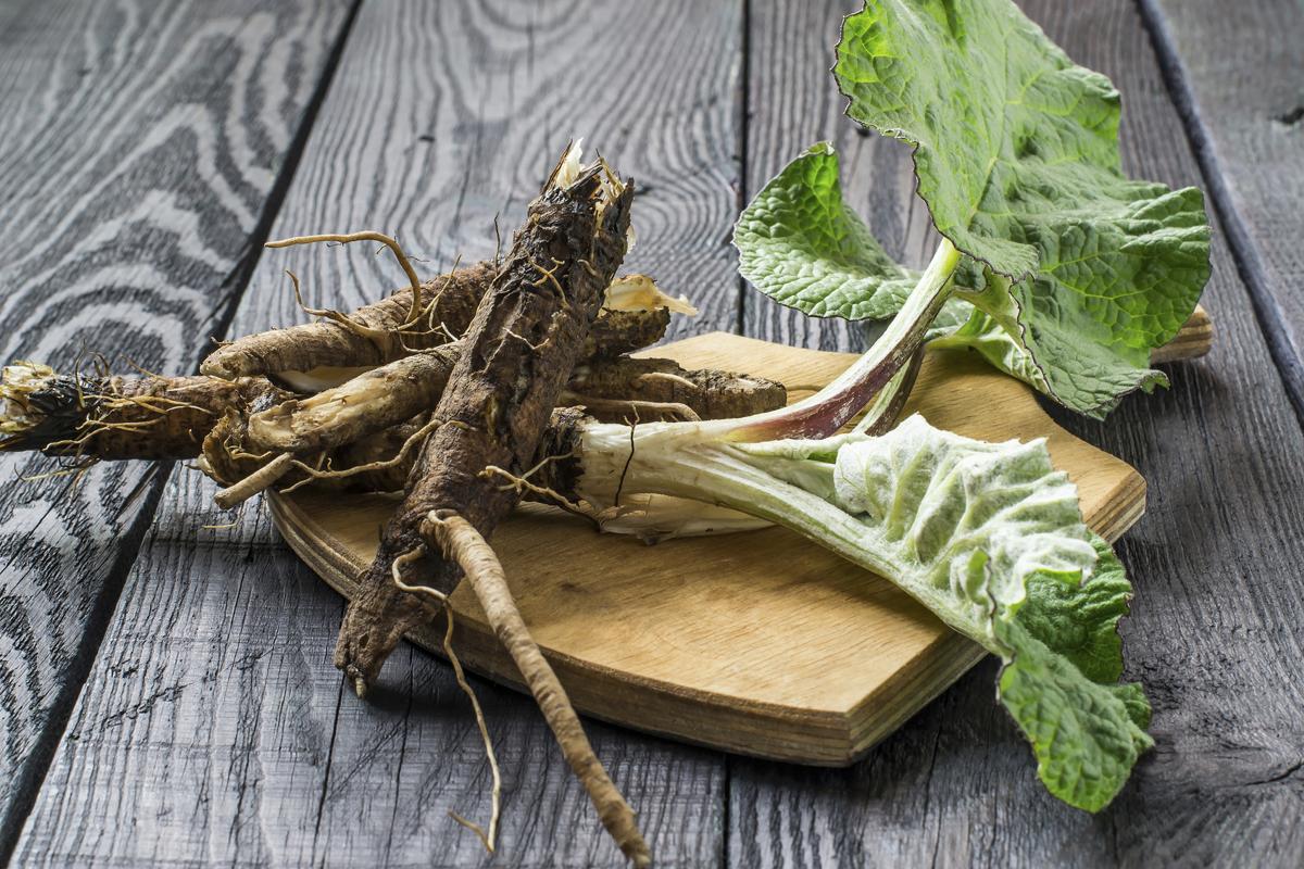 1200 6116 burdock root photo3 - Нетрадиционное лечение рака. Истории исцеления
